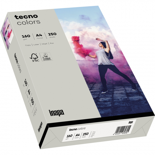 inapa tecno Kopierpapier colors 2100011364 A4 160g grau 250Bl., - 110016580