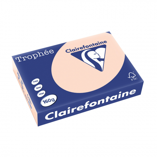 Clairefontaine Kopierpapier 1104C 025601610521 A4 160g lachs 250Bl, - 110082624