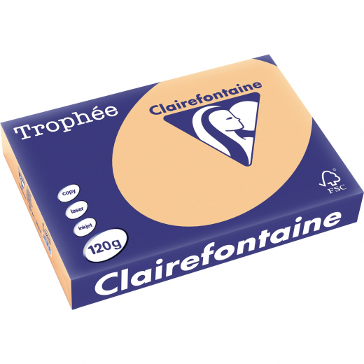 Clairefontaine Kopierpapier 1275C 025601210231 A4 120g aprikose 250Bl, - 110083421