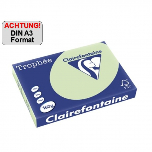 Clairefontaine Kopierpapier 1891C A3 80g grün 500Bl., - 110083560