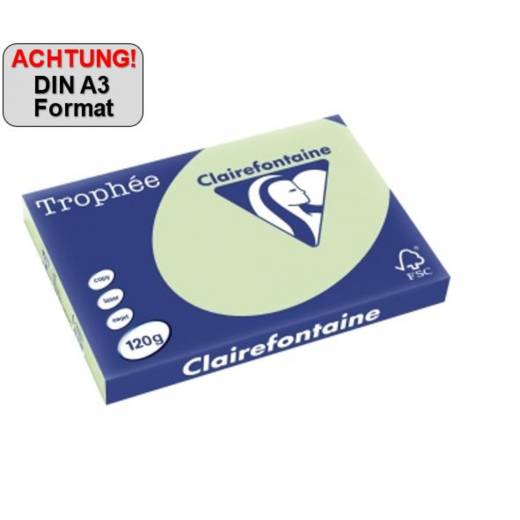 Clairefontaine Kopierpapier 1315C A3120g gn 250Bl, - 110083660