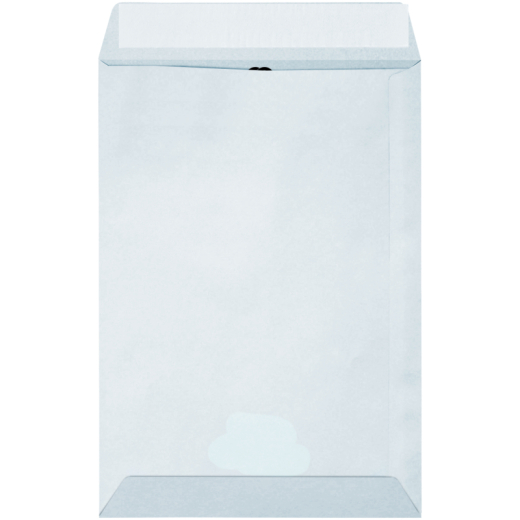 Soennecken Versandtasche oeco 2981 C5 oF hk RC ws 50St., - 327266501