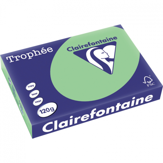 Clairefontaine Kopierpapier 1228C 025601210631 A4 120g naturgn 250Bl, - 110083461