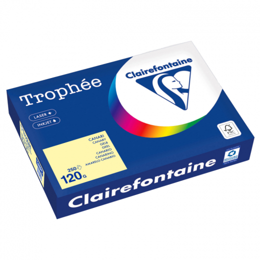 Clairefontaine Kopierpapier 1248PC A4 120g gelb 250Bl, - 110083810