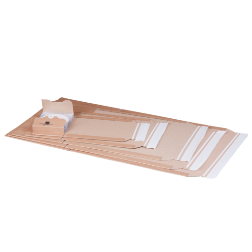 smartboxpro Buchverpackung 211101825 B4 378x295mm br,