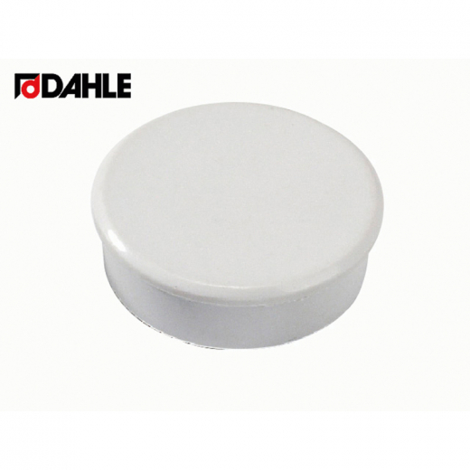 DAHLE Haftmagnet 95538-21453 38mm grau 10 St./Pack., - 705743