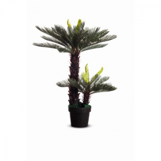 Paperflow Kunstpflanze PACYC80 Zycas 80cm,
