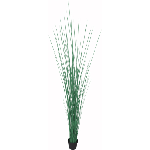 Kunstpflanze Seegras Höhe 1550mm Kunststofftopf,