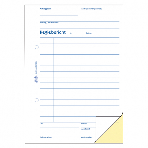 Avery Zweckform Regibericht 1306 DIN A5 2x50Blatt, - ZWE1306