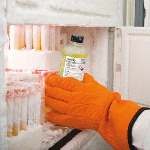 Avery Zweckform Folienetikett L7915-10 99,1x139mm 40 St./Pack.,