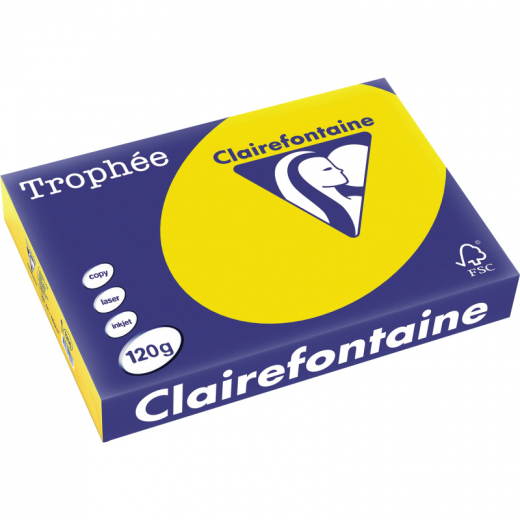 Clairefontaine Kopierpapier 1206C 025601210251 A4 120g goldge 250Bl,