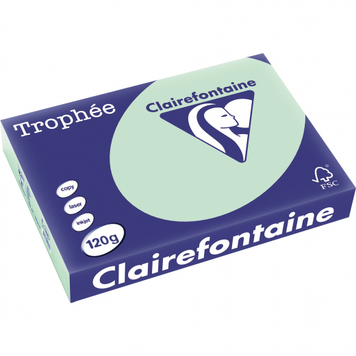 Clairefontaine Kopierpapier 1216C A4 120g hellgn 250Bl, - 224535