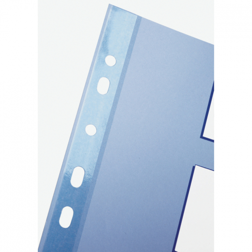 Esselte Register blanko 15259 DIN A4 5teilig PP h.blau/sortiert, - 033383