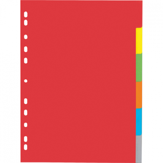 PAGNA Register 31061-20 DIN A4 6teilig Karton farbig,