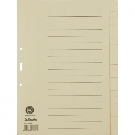 Esselte Register 621006 blanko DIN A4 20Bl. Papier chamois, - 721521