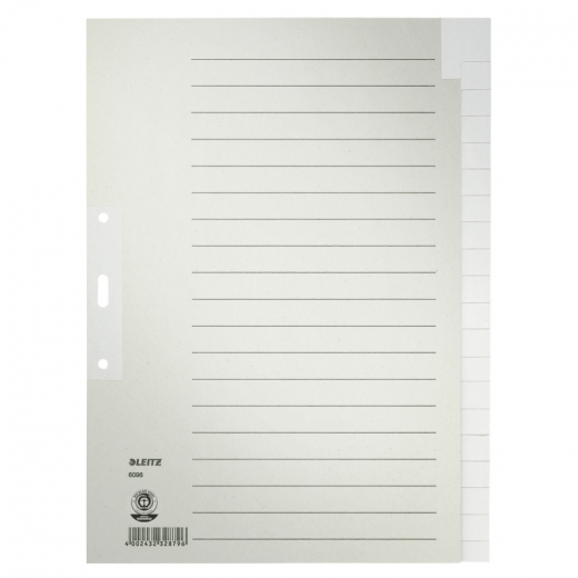 Leitz Register 60960085 blanko DIN A4 Tauenpapier grau, - 80609685