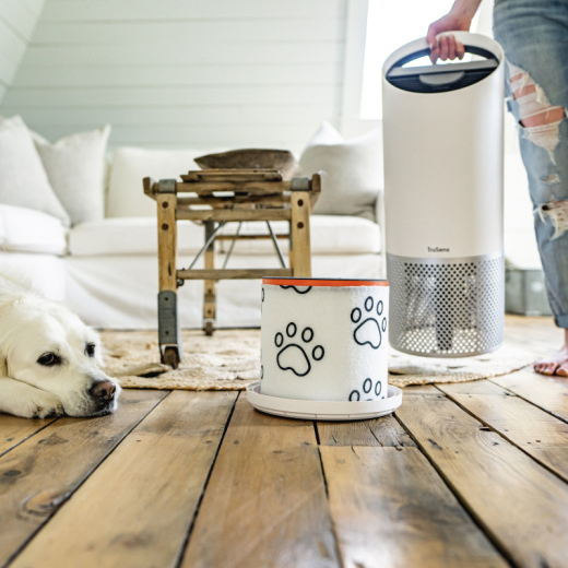 Leitz HEPA-Filter Haustier 2415129 für Z-2000/Z-2500,