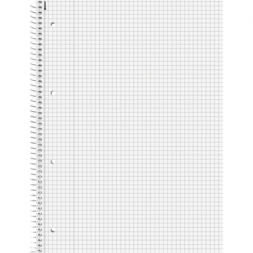 BRUNNEN Collegeblock 106783201 DIN A4 80Blatt kariert, - 111005302