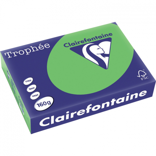 Clairefontaine Kopierpapier 1025C A4 160g maigrün 250Bl.,