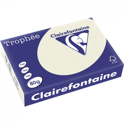 Clairefontaine Kopierpapier 1788C A4 80g grau 500Bl., - 332302000