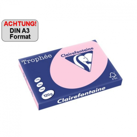 Clairefontaine Kopierpapier 2638C A3 160g rosa 250Bl,