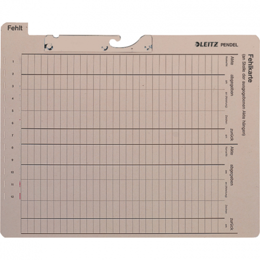 Leitz Pendelfehlkarte 20280085 Manilakarton 450g gr, - 80202885