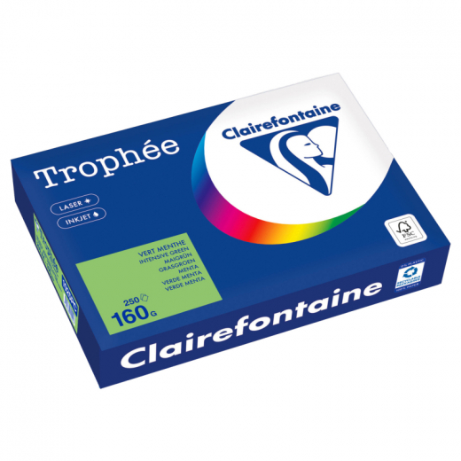 Clairefontaine Kopierpapier 1025PC A4 160g maigrün 250Bl, - CLA1025PC