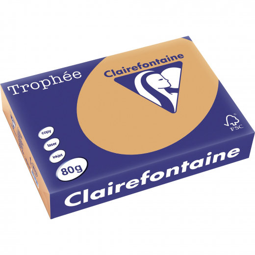 Clairefontaine Kopierpapier 1879C A4 80g camel 500Bl., - 332302300