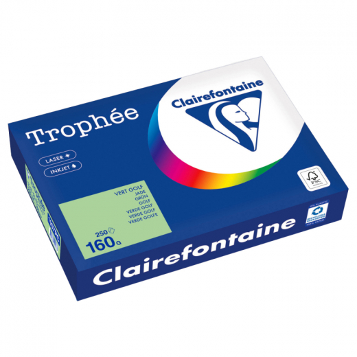 Clairefontaine Kopierpapier 1107PC A4 160g grün 250Bl,