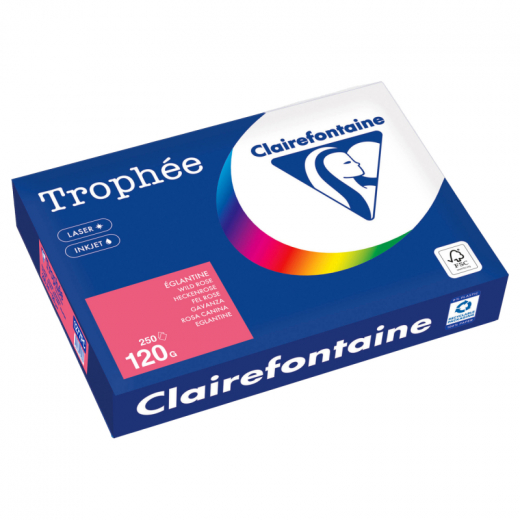 Clairefontaine Kopierpapier 1277PC A4 120g heckenrose 250Bl,