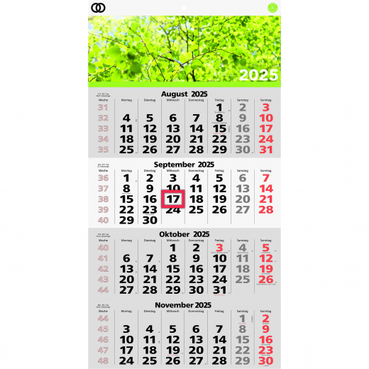 Soennecken Viermonatswandkalender oeco 2025 5103-25, - 640329800