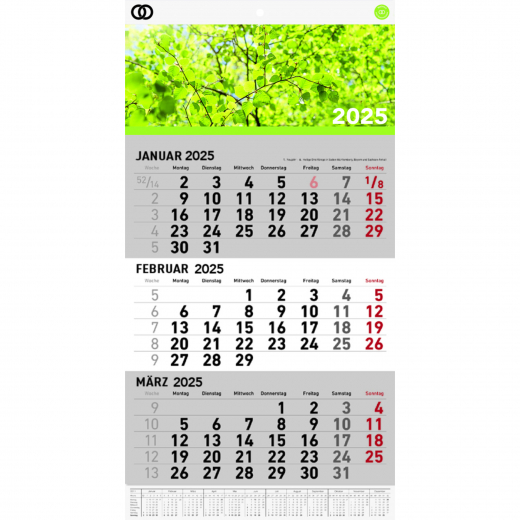 Soennecken Dreimonatswandkalender oeco 2025 5102-25,