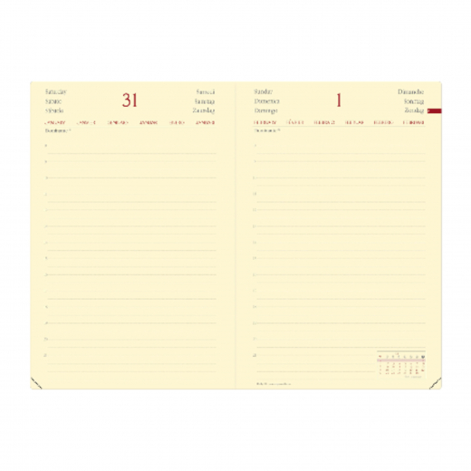 Quo Vadis Kalender Daily 21 375012Q sw, - 640331590