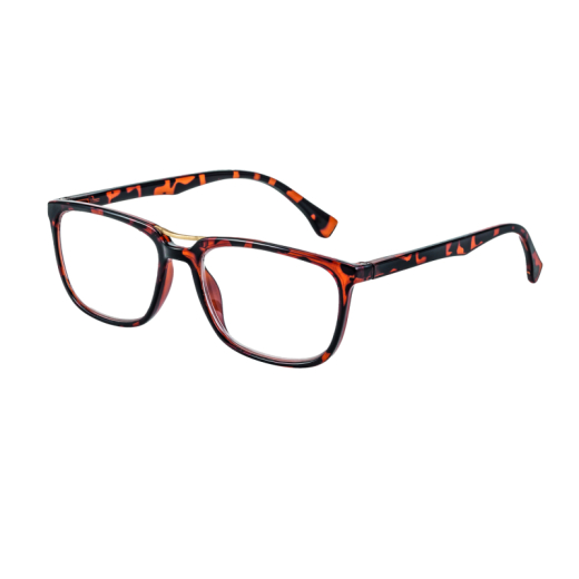 Filtral Lesebrille Stockholm F4560580 demi br go 2,5,