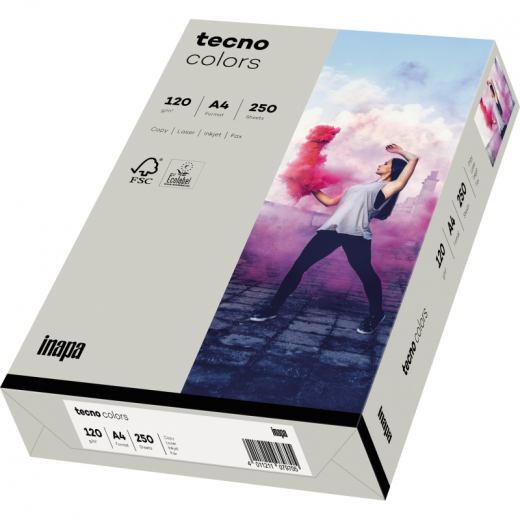 inapa tecno Kopierpapier colors 2100011337 A4 120g grau 250Bl./Pack, - 110016480