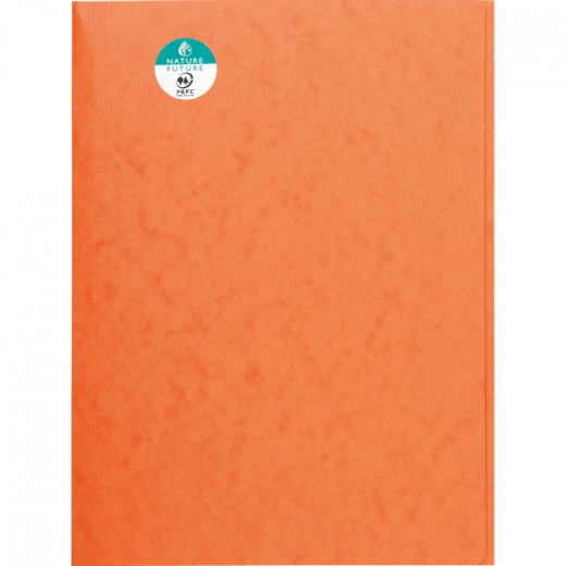 Exacompta Sammelmappe 56409E DIN A4 3Klappen Karton orange, - 835003