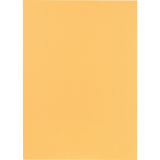 Falken Aktendeckel 80001233 23x31,8cm 250g ch 100 St./Pack.,