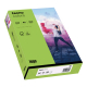 inapa tecno Kopierpapier Colors 2100011365 A4 160g grün 250Bl.,***