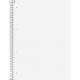 BRUNNEN Collegeblock 1067147 DIN A4 dotted 90g 80Blatt,***