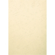 Exacompta Einbanddeckel Evercover 2780C A4 elfenbein 100St.,***