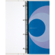 GBC Einhängeheftstreifen FileStrip IB184994 100 St./Pack.,***