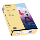 inapa tecno Kopierpapier Colors 2100011335 A4 120g chamois 250Bl.,***