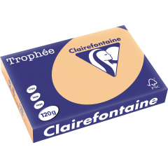 Clairefontaine Kopierpapier 1275C 025601210231 A4 120g aprikose 250Bl,