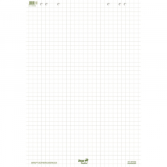 Ursus Staufen Flipchartblock Green 608580020 68x99cm 20Bl. kariert,