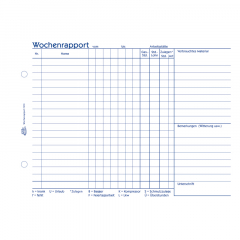 Avery Zweckform Wochenbericht 1310 DIN A5 100Bl.,