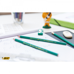 BIC Bleistift ECOlutions Evolution Original 650 HB 8803112,