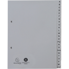 Exacompta Register 1743B A5 PP A-Z grau,