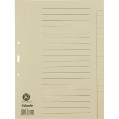 Esselte Register 621006 blanko DIN A4 20Bl. Papier chamois,