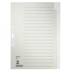 Leitz Register 60960085 blanko DIN A4 Tauenpapier grau,