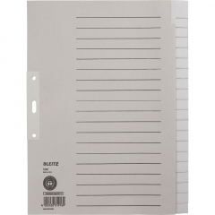 Leitz Register 12200085 blanko DIN A4 20teilig Papier grau,